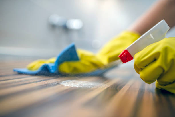 Alore Via - Furniture Cleaner & Polish | Wood Seasoning | Premium Quality | ফার্নিচার পলিশ